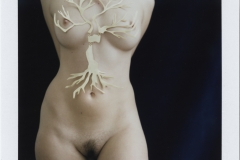 Aicanon_FW1617_look_02